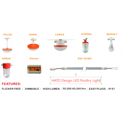 Hato Design -LED Poultry Light